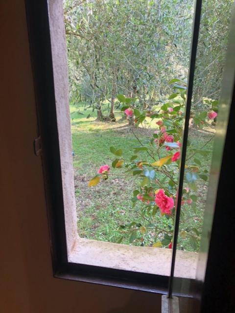 La Pieve Farm stay Colle Val D'Elsa