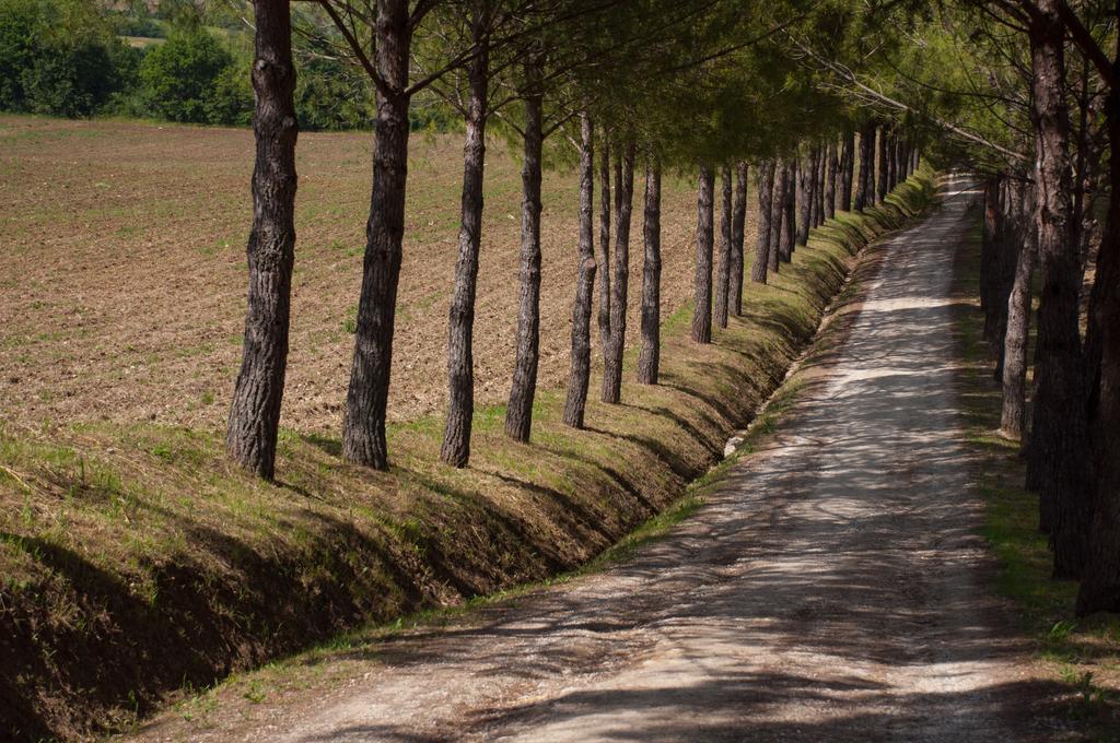 La Pieve Colle Val D'Elsa