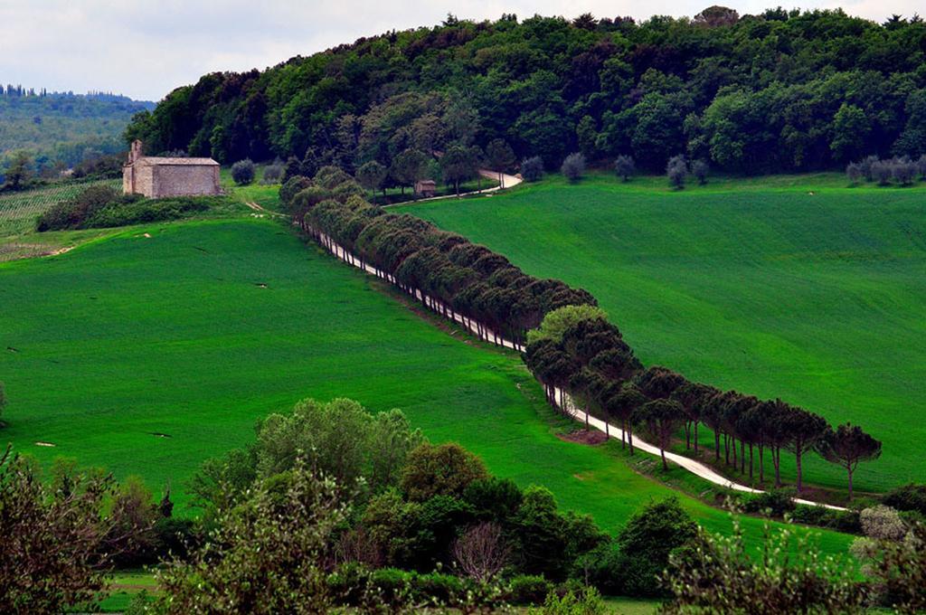 Farm stay La Pieve *