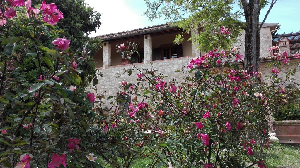 La Pieve Farm stay