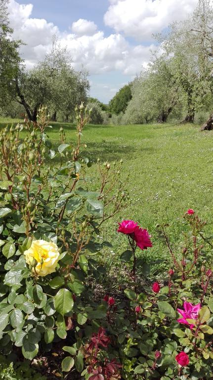 La Pieve